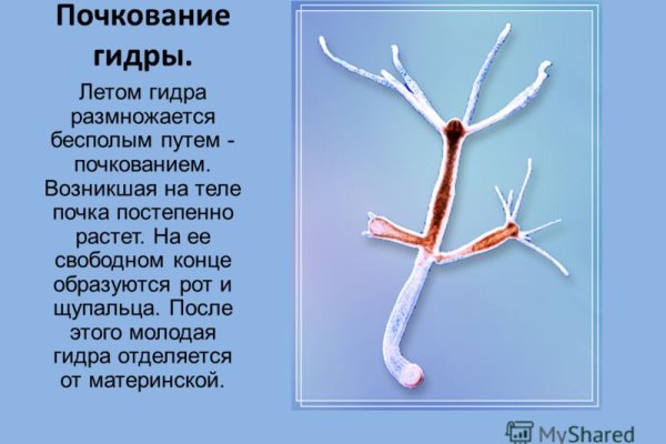 Что с кракеном сайт на сегодня