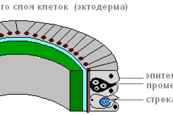 Кракен даркнет отменился заказ