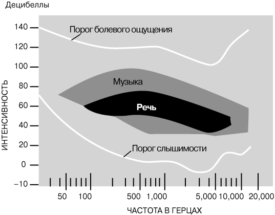 Кракен открылся